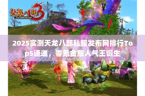 2025实测天龙八部私服发布网排行Top5速递，零氪金服人气王诞生