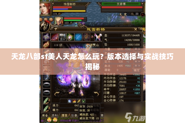 天龙八部sf美人天龙怎么玩？版本选择与实战技巧揭秘