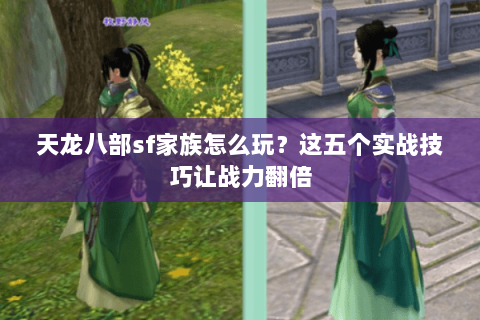 天龙八部sf家族怎么玩？这五个实战技巧让战力翻倍