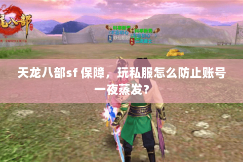 天龙八部sf 保障，玩私服怎么防止账号一夜蒸发？