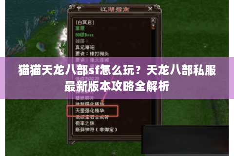 猫猫天龙八部sf怎么玩？天龙八部私服最新版本攻略全解析