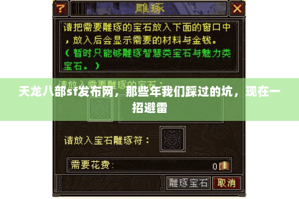 天龙八部sf发布网，那些年我们踩过的坑，现在一招避雷