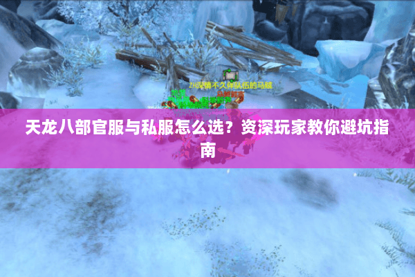 天龙八部官服与私服怎么选？资深玩家教你避坑指南