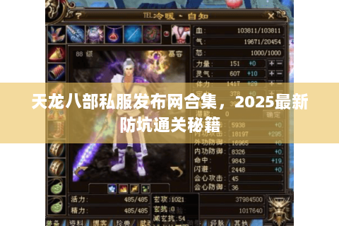 天龙八部私服发布网合集,2025最新防坑通关秘籍 天龙八部私服发布网合集,2025最新防坑通关秘籍