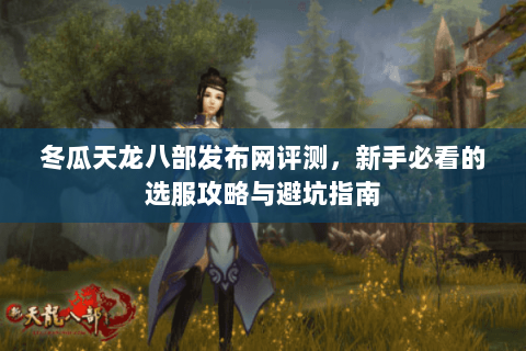 冬瓜天龙八部发布网评测，新手必看的选服攻略与避坑指南