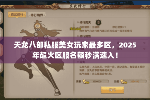天龙八部私服美女玩家最多区，2025年超火区服名额秒满速入！