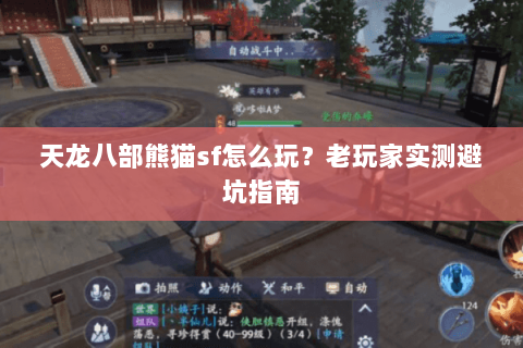 天龙八部熊猫sf怎么玩？老玩家实测避坑指南