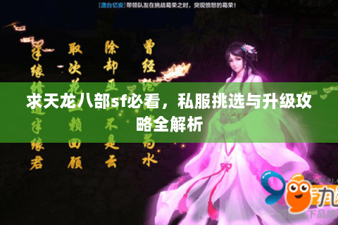 求天龙八部sf必看，私服挑选与升级攻略全解析