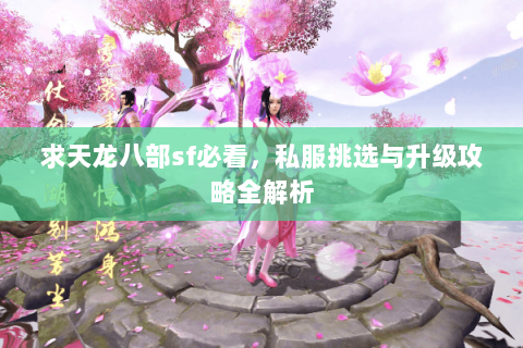 求天龙八部sf必看，私服挑选与升级攻略全解析