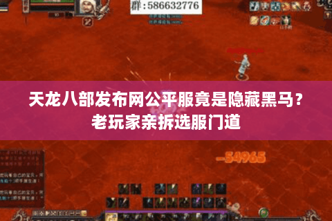 天龙八部发布网公平服竟是隐藏黑马？老玩家亲拆选服门道