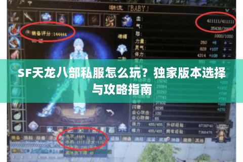 SF天龙八部私服怎么玩？独家版本选择与攻略指南
