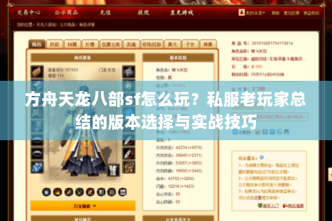 方舟天龙八部sf怎么玩？私服老玩家总结的版本选择与实战技巧