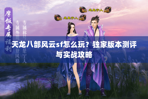 天龙八部风云sf怎么玩？独家版本测评与实战攻略