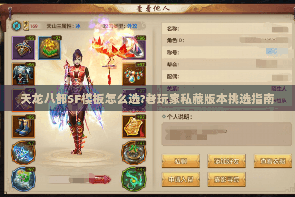 天龙八部SF模板怎么选?老玩家私藏版本挑选指南