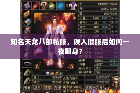 知名天龙八部私服,误入假服后如何一夜翻身? 知名天龙八部私服,误入假服后如何一夜翻身?