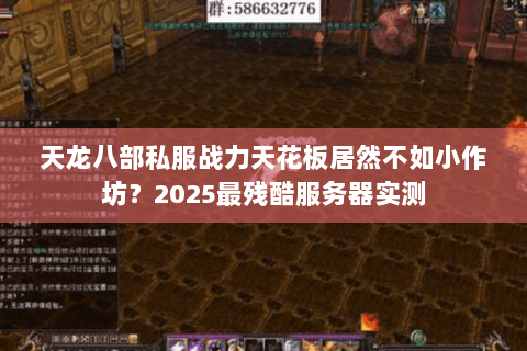 天龙八部私服战力天花板居然不如小作坊？2025最残酷服务器实测