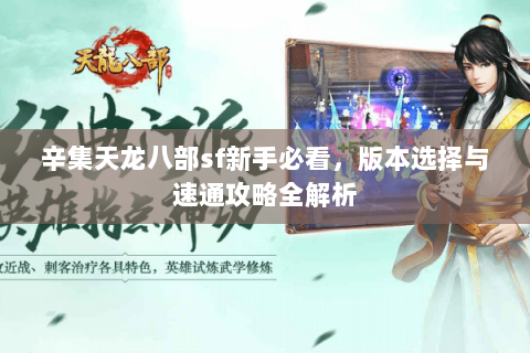 辛集天龙八部sf新手必看，版本选择与速通攻略全解析