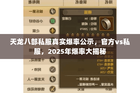 天龙八部私服真实爆率公示，官方vs私服，2025年爆率大揭秘