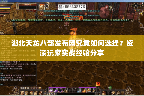 湖北天龙八部发布网究竟如何选择？资深玩家实战经验分享