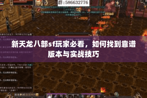 新天龙八部sf玩家必看，如何找到靠谱版本与实战技巧