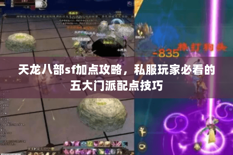 天龙八部sf加点攻略，私服玩家必看的五大门派配点技巧