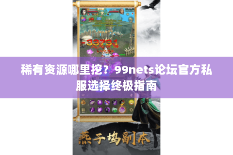 稀有资源哪里挖？99nets论坛官方私服选择终极指南