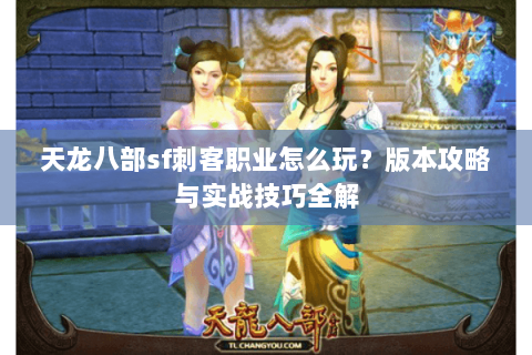 天龙八部sf刺客职业怎么玩？版本攻略与实战技巧全解