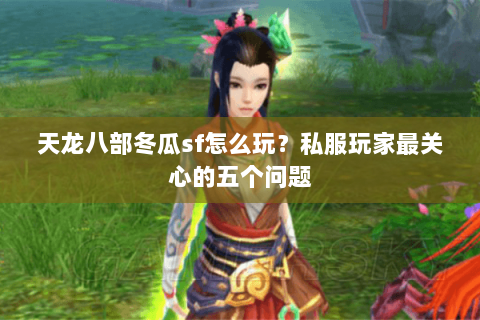 天龙八部冬瓜sf怎么玩？私服玩家最关心的五个问题