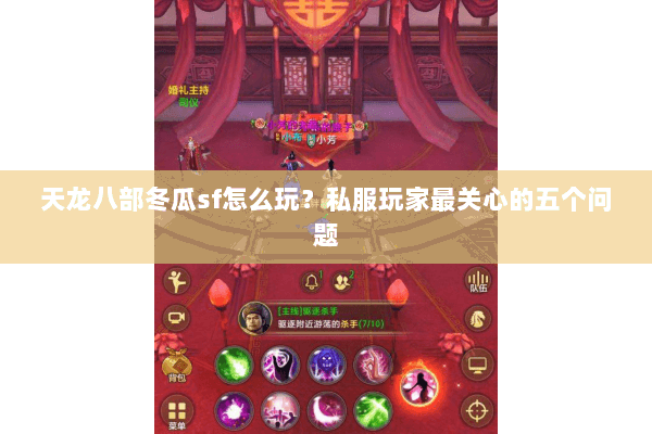 天龙八部冬瓜sf怎么玩？私服玩家最关心的五个问题