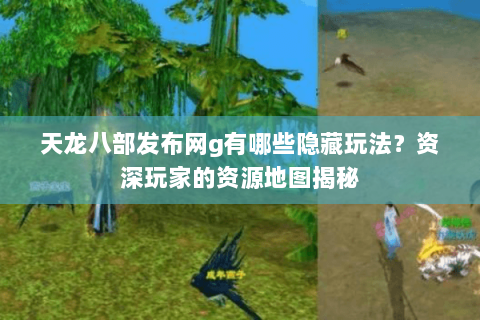 天龙八部发布网g有哪些隐藏玩法？资深玩家的资源地图揭秘