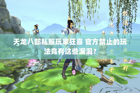 天龙八部私服玩家狂喜 官方禁止的玩法竟有这些漏洞? 天龙八部私服玩家狂喜 官方禁止的玩法竟有这些漏洞?