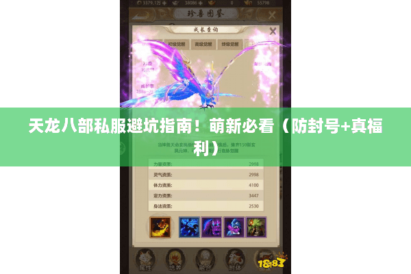 天龙八部私服避坑指南！萌新必看（防封号+真福利）