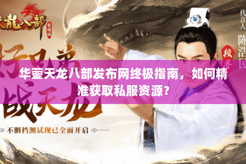 华蓥天龙八部发布网终极指南，如何精准获取私服资源？