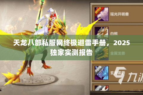 天龙八部私服网终极避雷手册，2025独家实测报告