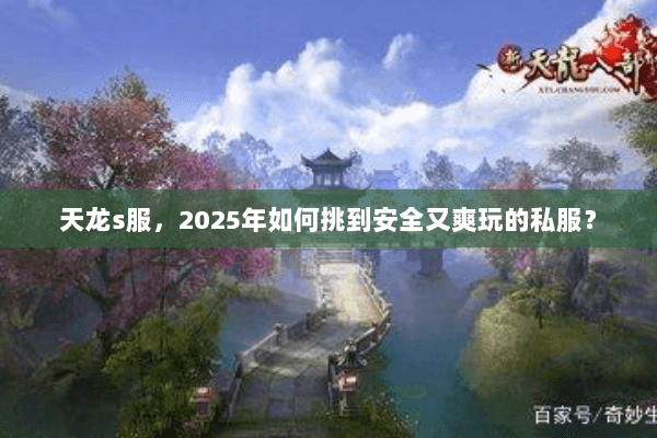 天龙s服，2025年如何挑到安全又爽玩的私服？