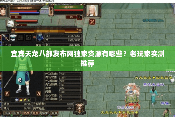 宜宾天龙八部发布网独家资源有哪些？老玩家实测推荐