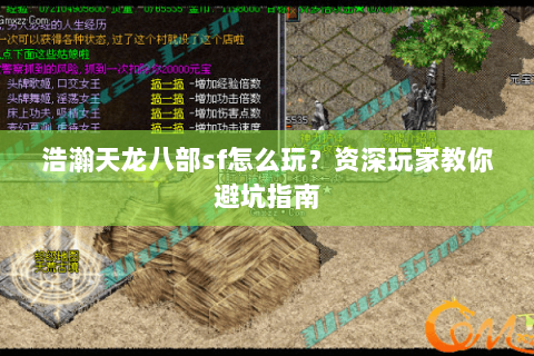 浩瀚天龙八部sf怎么玩？资深玩家教你避坑指南