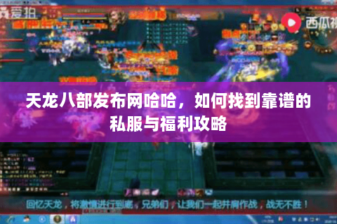 天龙八部发布网哈哈，如何找到靠谱的私服与福利攻略