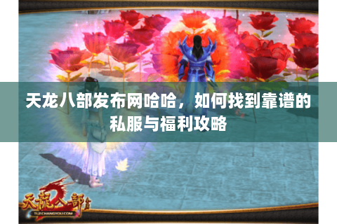 天龙八部发布网哈哈，如何找到靠谱的私服与福利攻略