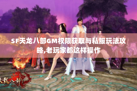 SF天龙八部GM权限获取与私服玩法攻略,老玩家都这样操作