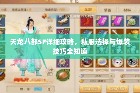 天龙八部SF详细攻略，私服选择与爆装技巧全知道