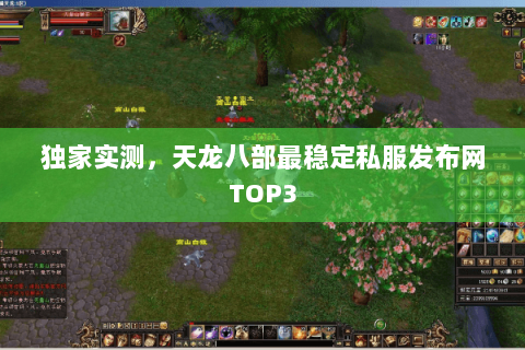 独家实测,天龙八部最稳定私服发布网TOP3 独家实测,天龙八部最稳定私服发布网TOP3