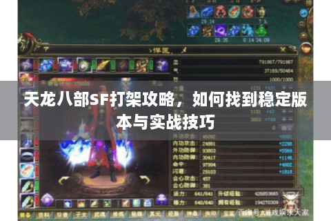 天龙八部SF打架攻略，如何找到稳定版本与实战技巧