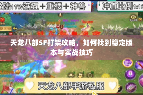 天龙八部SF打架攻略，如何找到稳定版本与实战技巧