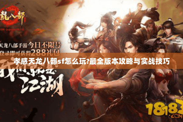 孝感天龙八部sf怎么玩?最全版本攻略与实战技巧