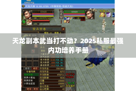 天龙副本武当打不动？2025私服最强内功培养手册