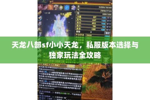 天龙八部sf小小天龙，私服版本选择与独家玩法全攻略