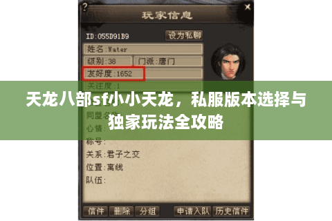 天龙八部sf小小天龙，私服版本选择与独家玩法全攻略
