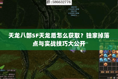 天龙八部SF天龙盾怎么获取？独家掉落点与实战技巧大公开