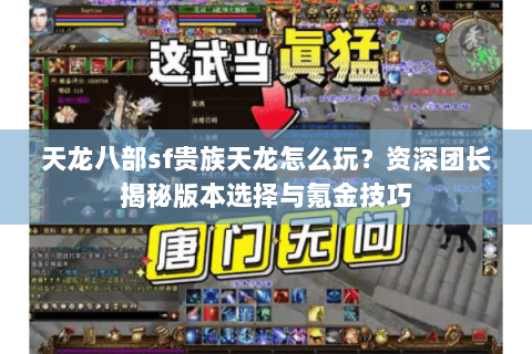 天龙八部sf贵族天龙怎么玩？资深团长揭秘版本选择与氪金技巧